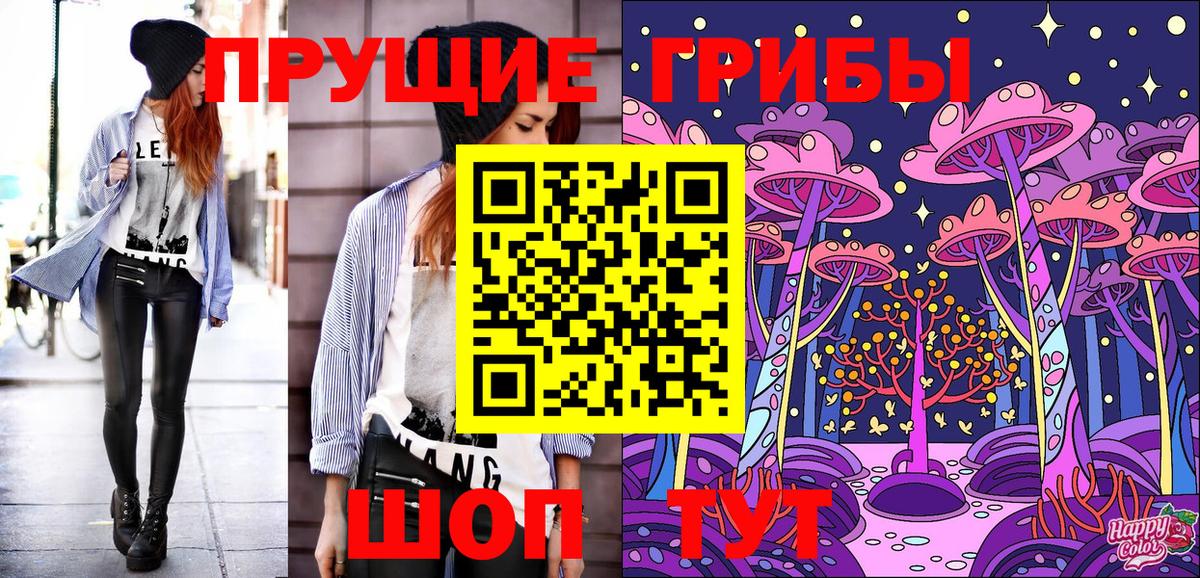 Галлюциногенные грибы GOLDEN TEACHER Ставрополь